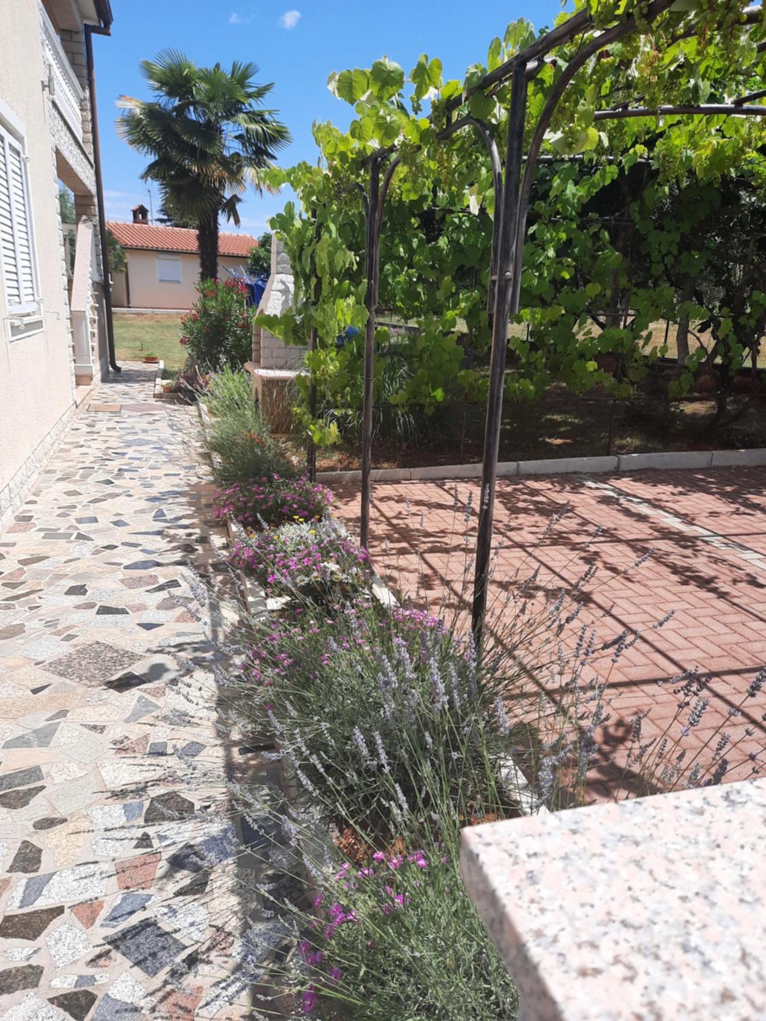 Apartments Marinela Porec Room photo